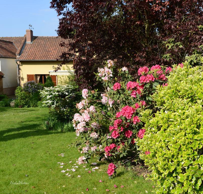 Gite Des Hortillonnages Camon  외부 사진
