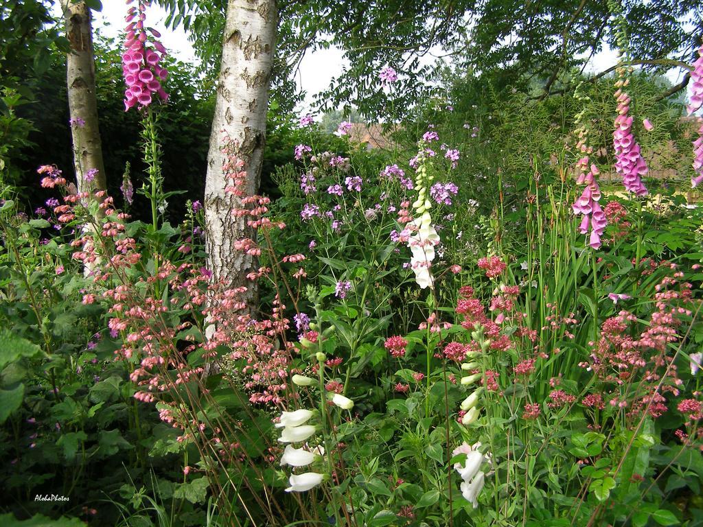 Gite Des Hortillonnages Camon  외부 사진
